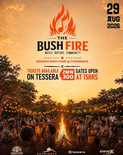 MTN Bush Fire Music Festival